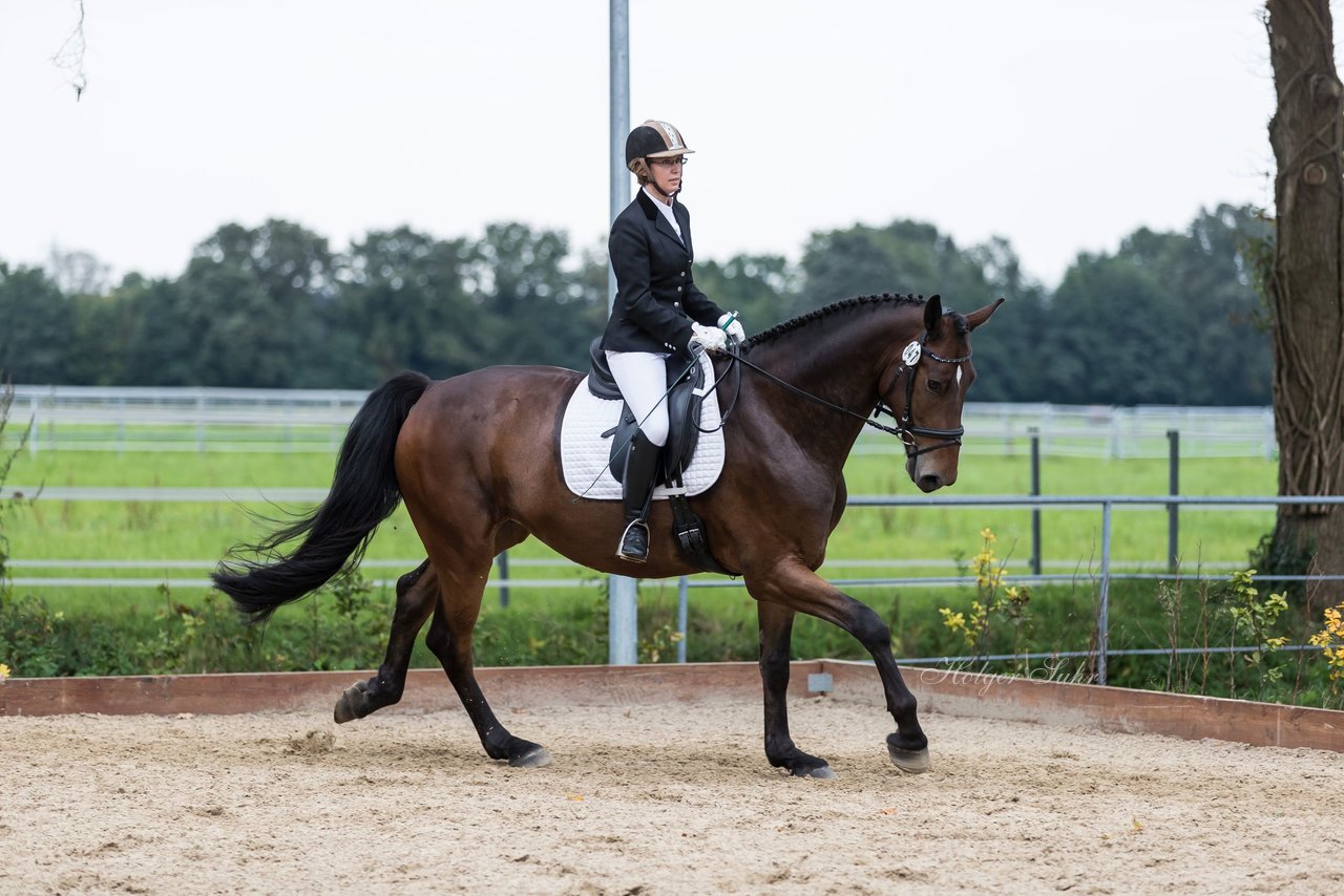 Bild 660 - Fuchshof Turnier